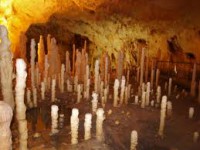 /album/galerie-foto/images-27-jpg1/